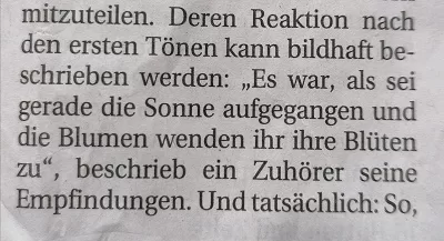 Mannheimer Morgen